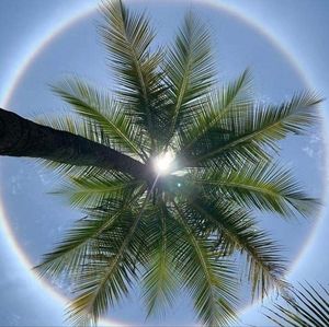 Meet your Posher, Berenice